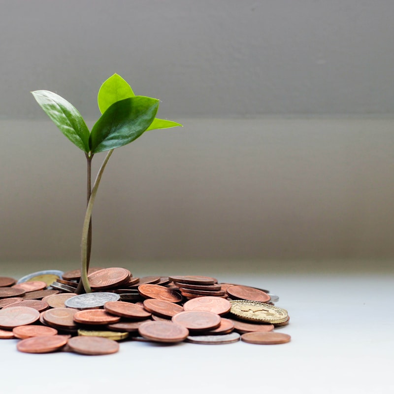 The Sovereign — Financial Freedom E-Book