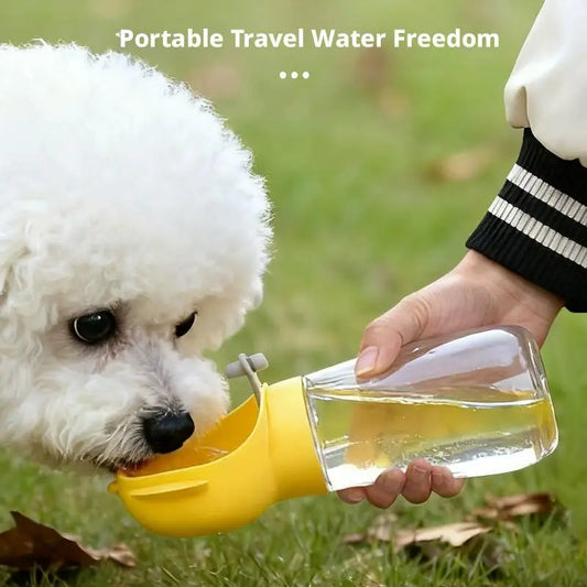 The Flask