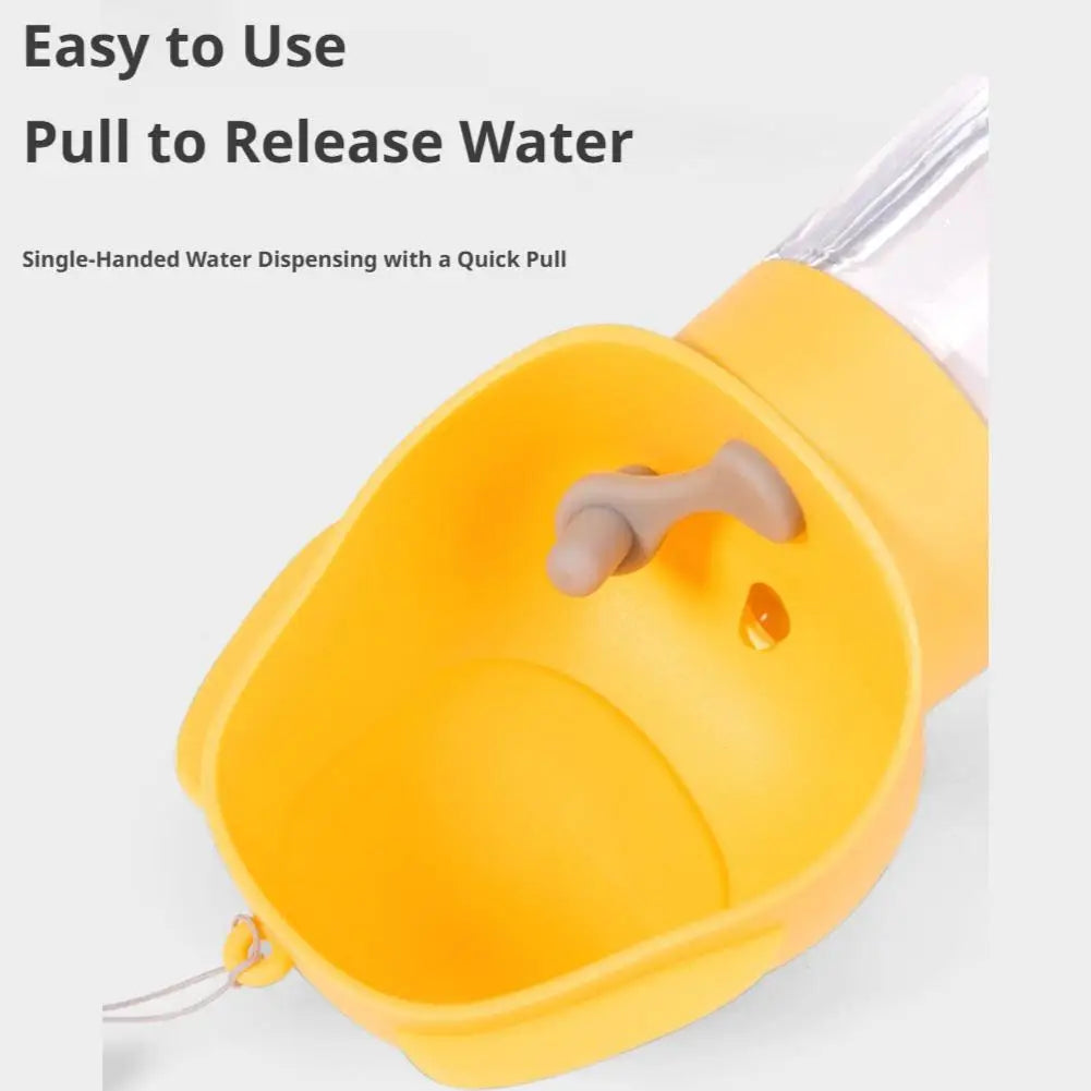 The Flask