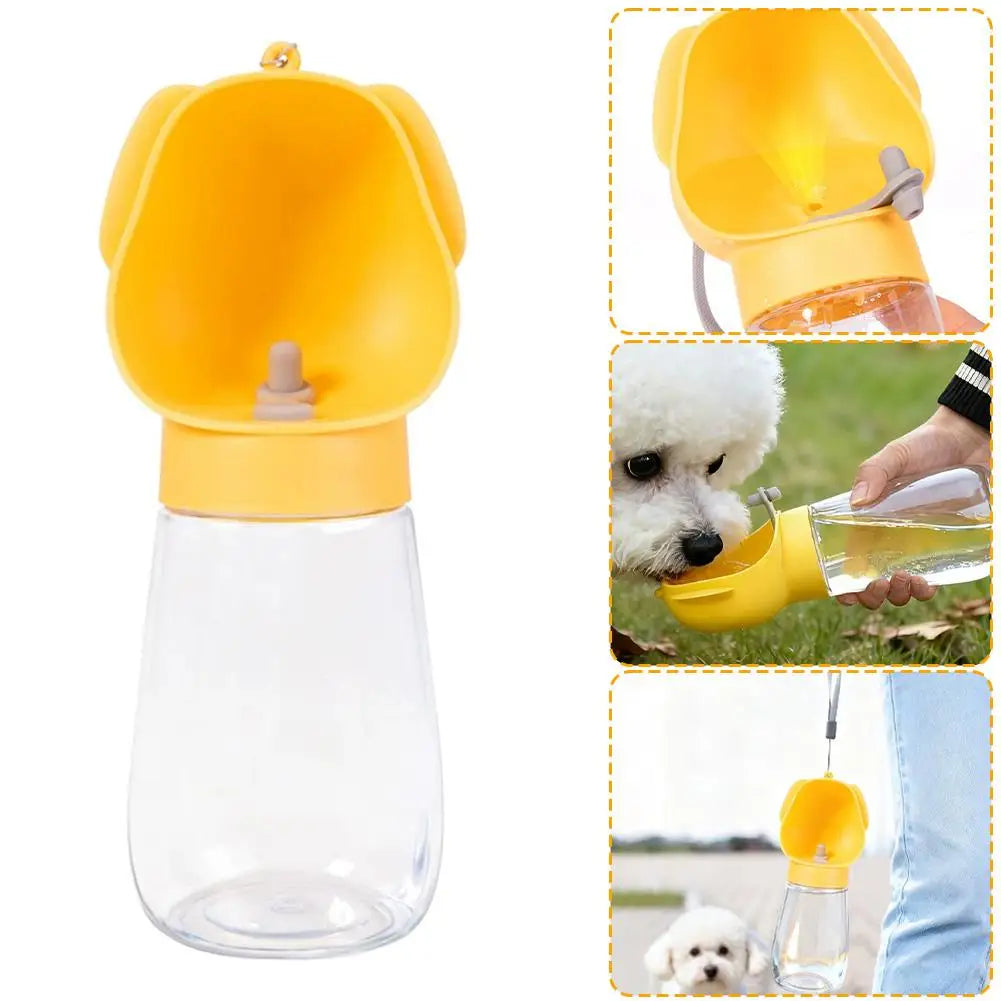 The Flask