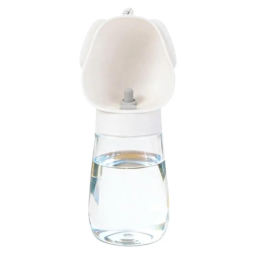 The Flask