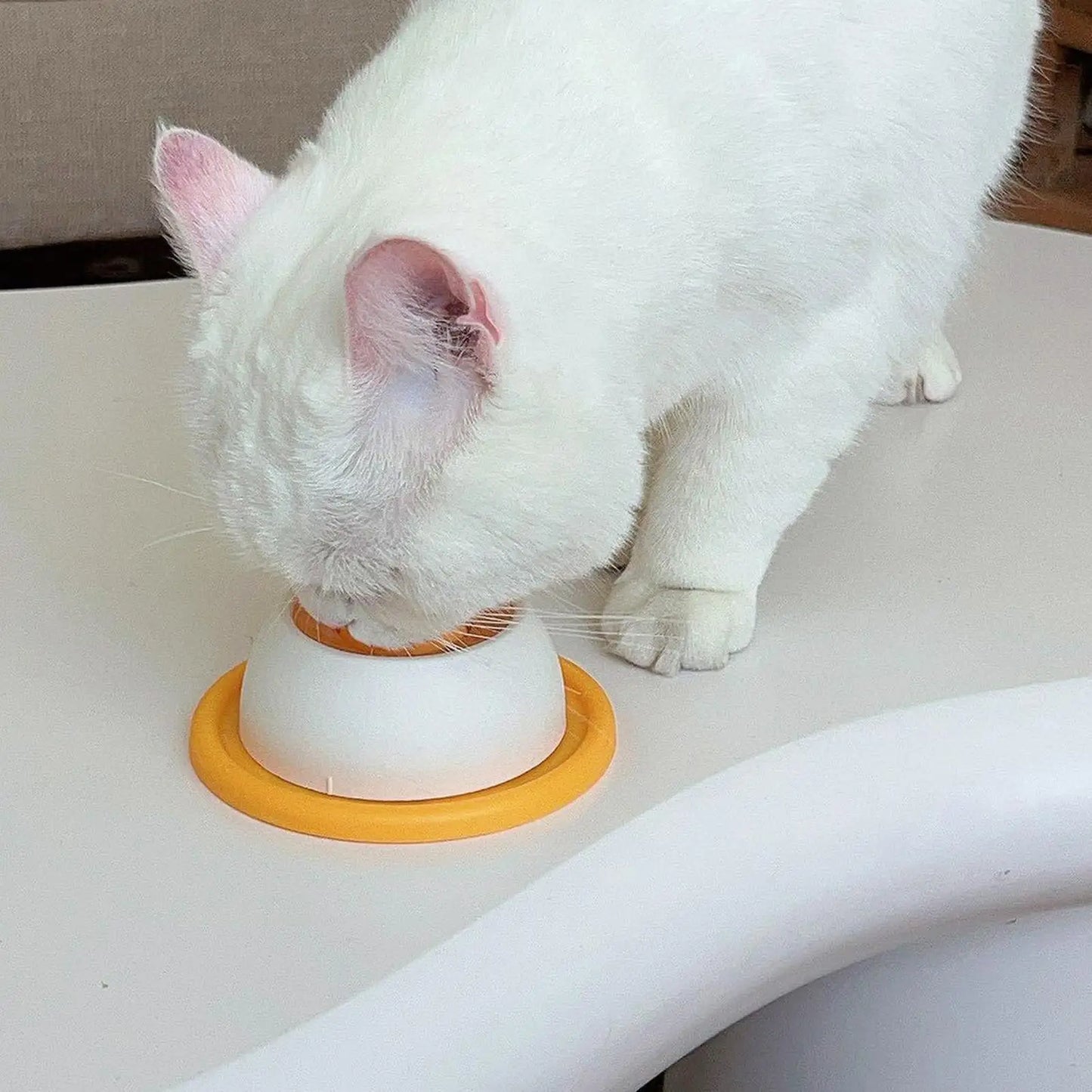 The Lick